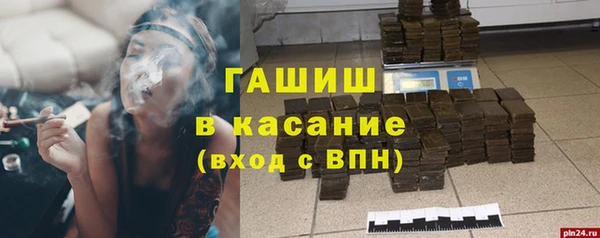 гашик Пересвет