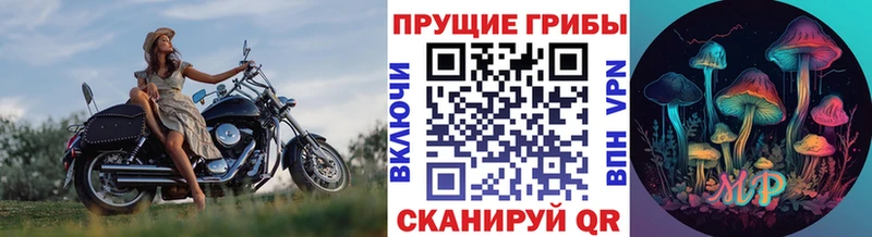 Галлюциногенные грибы прущие грибы как найти закладки Махачкала