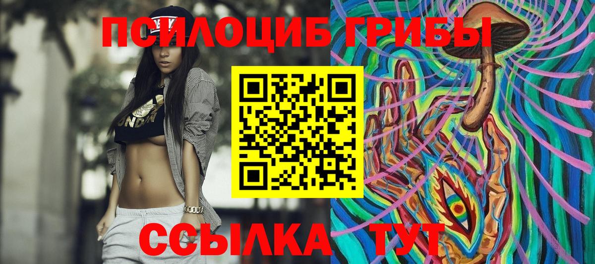 Галлюциногенные грибы Psilocybine cubensis Махачкала