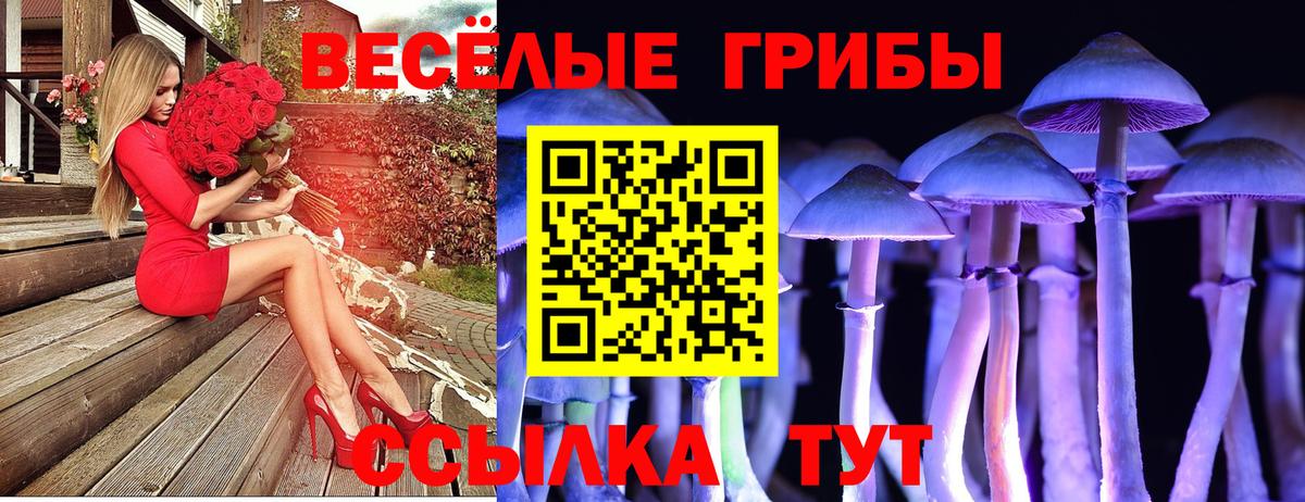Махачкала  Псилоцибиновые грибы мицелий  Псилоцибиновые грибы Magic Shrooms  Вход с VPN 