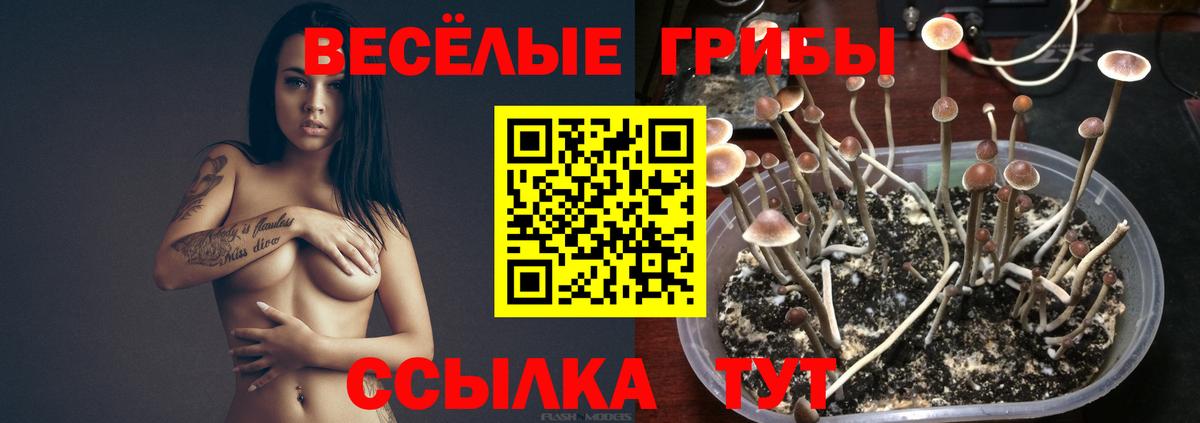 Махачкала  Вход с VPN  ГАШИШ  Экстази  Меф  Меф МЯУ МЯУ   МАРИХУАНА 